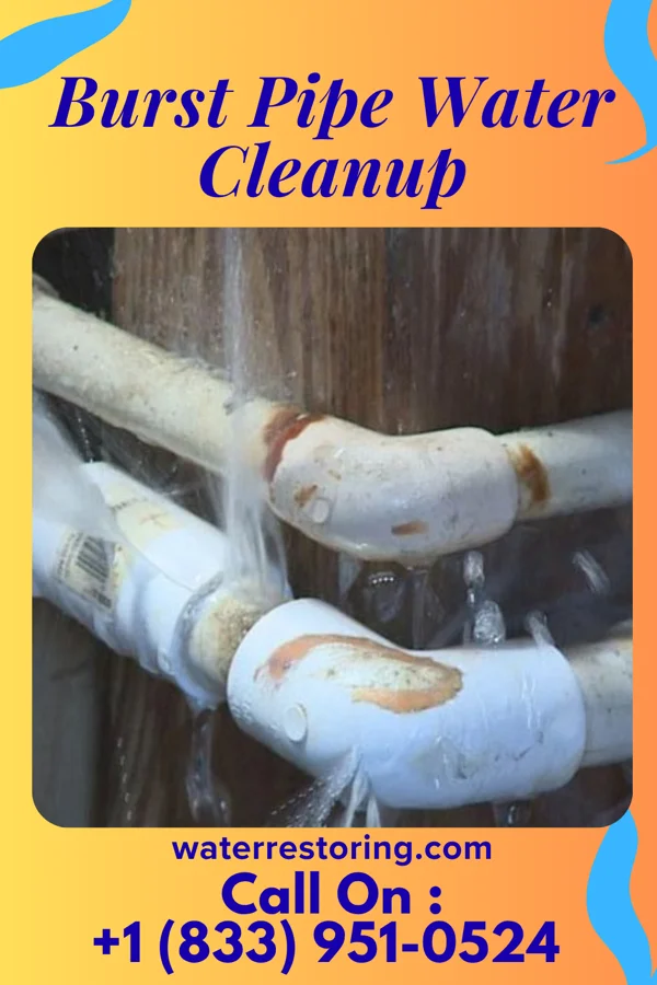 Burst Pipe Water Cleanup in Augusta, MO