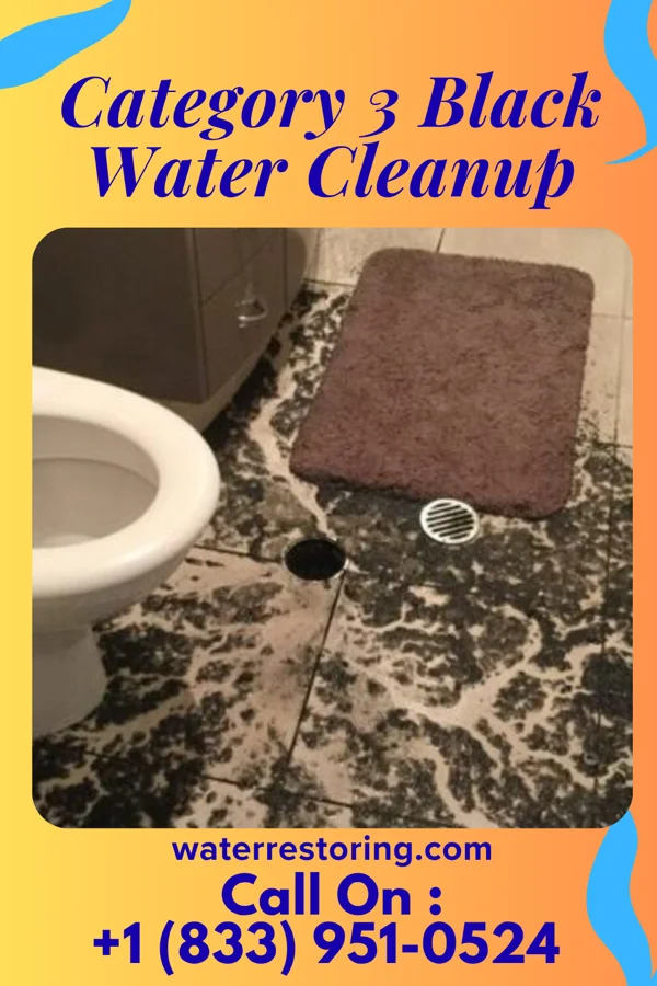 Category 3 Black Water Cleanup in Augusta, MO