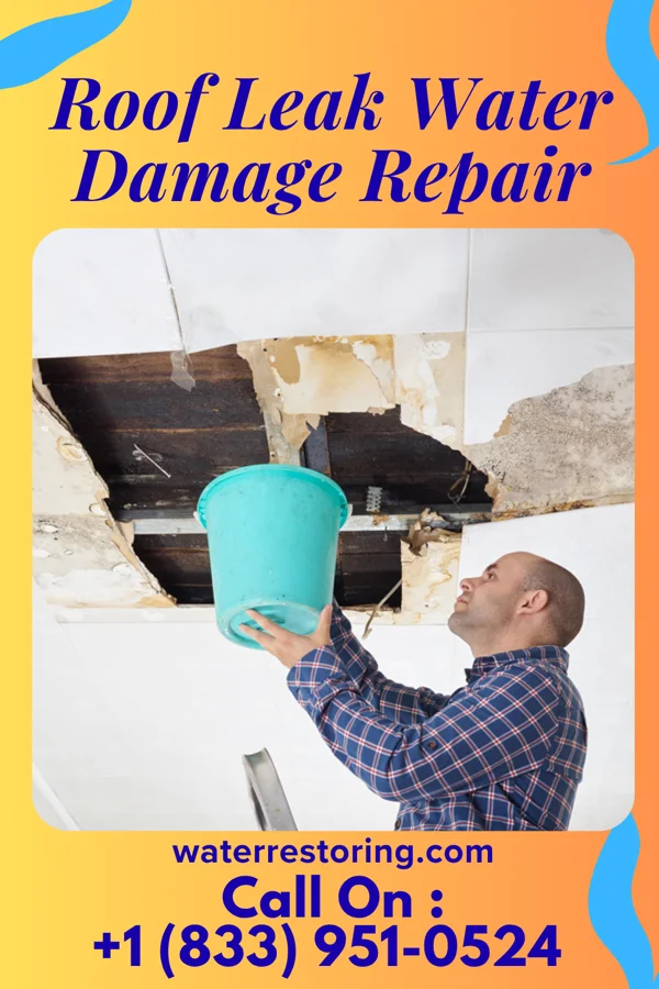 Roof Leak Water Damage Repair in Augusta, MO